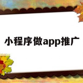 小程序做app推广(小程序做app推广赚钱吗)