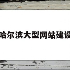 哈尔滨大型网站建设(哈尔滨网站建设公司哪家好)
