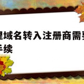 包含办理域名转入注册商需要哪些手续的词条