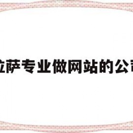 拉萨专业做网站的公司(拉萨专业做网站的公司排名)
