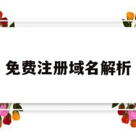 免费注册域名解析(免费域名解析服务器)
