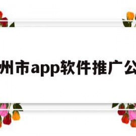 郑州市app软件推广公司(郑州市app软件推广公司招聘)
