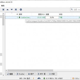 qBittorrent v4.4.2.10增强便携版支持多开（电脑下载神器）