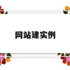 网站建实例(网站建设案例图片)