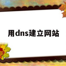 用dns建立网站(dns建立域名的过程)