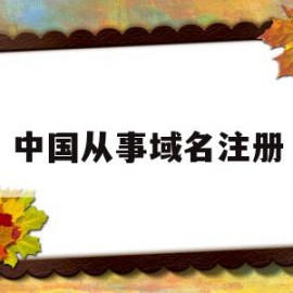 中国从事域名注册(国内的域名注册平台有哪几个)
