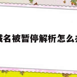 域名被暂停解析怎么办(域名解析怎么解析)