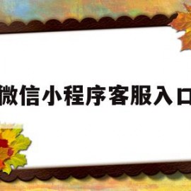 微信小程序客服入口(微信小程序店铺开通要多少钱)