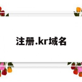 注册.kr域名(co域名注册)