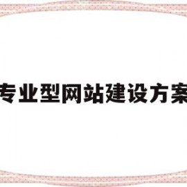 专业型网站建设方案(电商pc网站建设方案)