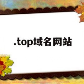 .top域名网站(top域名值钱吗)