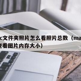 mac文件夹照片怎么看照片总数（mac怎么查看图片内存大小）