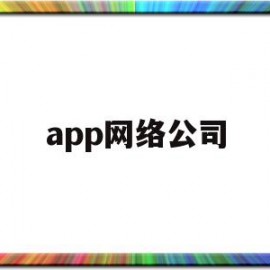 app网络公司(app平台网络公司)