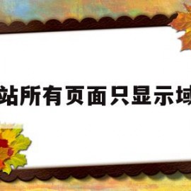网站所有页面只显示域名(网站只能域名访问 不能用ip)