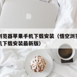 悟空浏览器苹果手机下载安装（悟空浏览器苹果手机下载安装最新版）