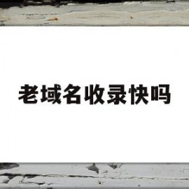 老域名收录快吗(百度快速收录域名购买)