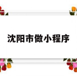 沈阳市做小程序(沈阳市做小程序的企业)
