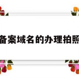 备案域名的办理拍照(域名备案成功后如何使用)