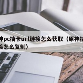 原神pc抽卡url链接怎么获取（原神抽卡链接怎么复制）