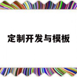 定制开发与模板的简单介绍