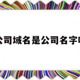 公司域名是公司名字吗(公司域名是公司名字吗怎么查)