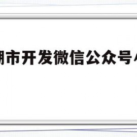 巢湖市开发微信公众号小程序的简单介绍