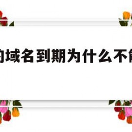 有的域名到期为什么不能注册(为什么域名到期了我还不能抢注)