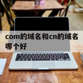 包含com的域名和cn的域名哪个好的词条