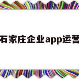 石家庄企业app运营(石家庄企业app运营平台)