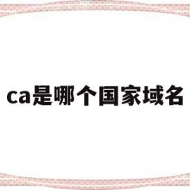 ca是哪个国家域名(ca是哪个国家的域名)