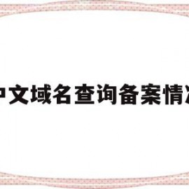 中文域名查询备案情况的简单介绍