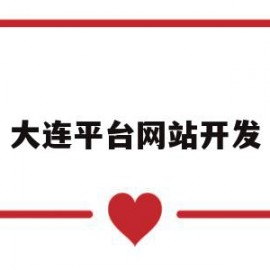 大连平台网站开发(大连专业网站制作公司)