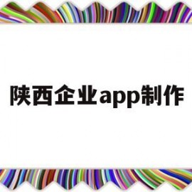 陕西企业app制作(陕西企业登记平台)