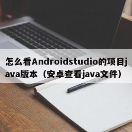 怎么看Androidstudio的项目java版本（安卓查看java文件）
