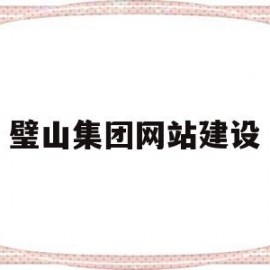 璧山集团网站建设的简单介绍