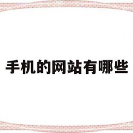 手机的网站有哪些(手机网址大全哪个好)