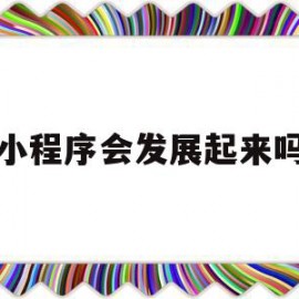 小程序会发展起来吗(小程序会发展起来吗为什么)