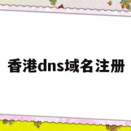 香港dns域名注册(香港2021最快dns)