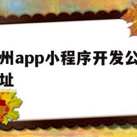 广州app小程序开发公司地址(广州小程序开发公司最新招聘信息)