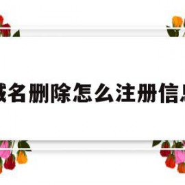 域名删除怎么注册信息(域名删除怎么注册信息更新)