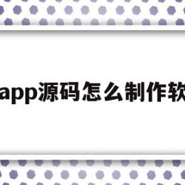 有app源码怎么制作软件(app源码生成apk)