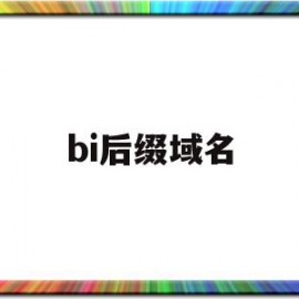 bi后缀域名(bio域名)