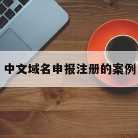 中文域名申报注册的案例(申请中文域名注册)