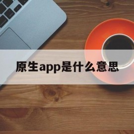 原生app是什么意思(什么叫原生iso)