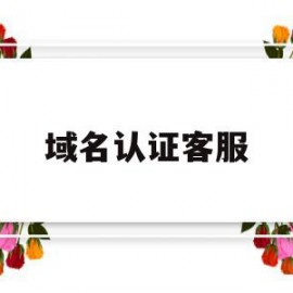 域名认证客服(域名认证查询系统)