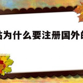网站为什么要注册国外的域名(网站为什么要注册国外的域名账号)