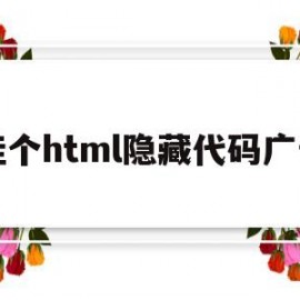 挂个html隐藏代码广告(html文字广告代码)