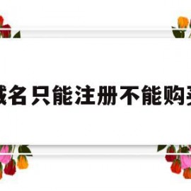 域名只能注册不能购买(域名只能放在注册商网站下)