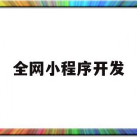 全网小程序开发(做小程序 开发 平台)