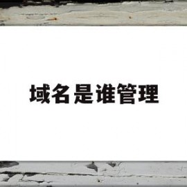 域名是谁管理(域名是什么权利)